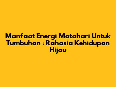 **Manfaat Energi Matahari Untuk Tumbuhan**: Rahasia Kehidupan Hijau