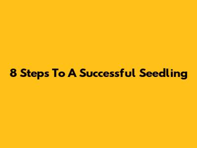 8 Steps To A Successful Seedling