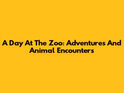 A Day At The Zoo: Adventures And Animal Encounters