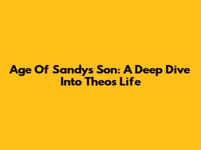Age Of Sandy's Son: A Deep Dive Into Theo's Life