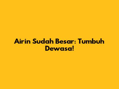 Airin Sudah Besar: Tumbuh Dewasa!