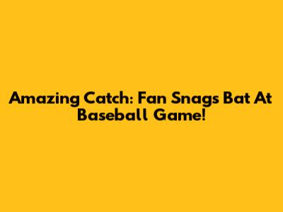 Amazing Catch: Fan Snags Bat At Baseball Game!