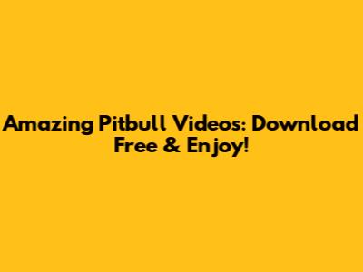 Amazing Pitbull Videos: Download Free & Enjoy!