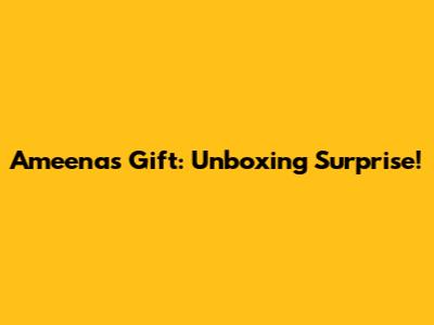Ameena's Gift: Unboxing Surprise!