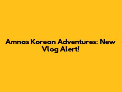Amna's Korean Adventures: New Vlog Alert!