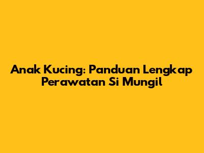 Anak Kucing: Panduan Lengkap Perawatan Si Mungil