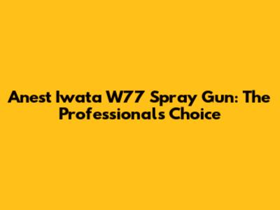 Anest Iwata W77 Spray Gun: The Professional's Choice