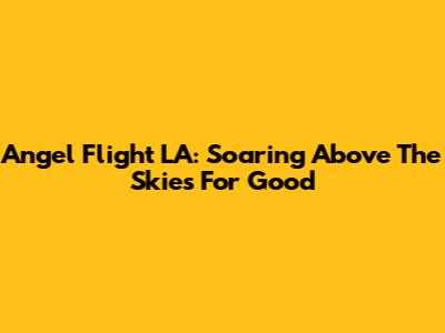 Angel Flight LA: Soaring Above The Skies For Good