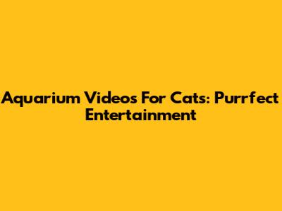 Aquarium Videos For Cats: Purrfect Entertainment