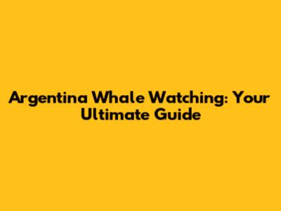 Argentina Whale Watching: Your Ultimate Guide