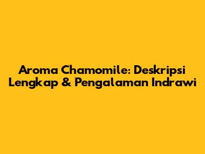 Aroma Chamomile: Deskripsi Lengkap & Pengalaman Indrawi