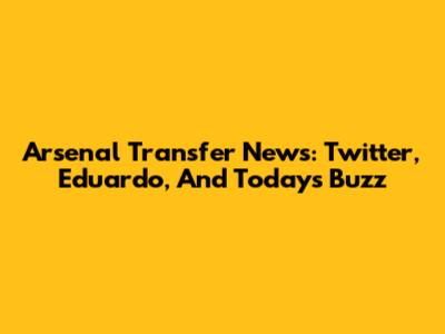 Arsenal Transfer News: Twitter, Eduardo, And Today's Buzz
