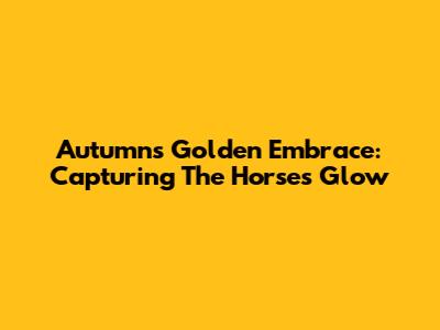 Autumn's Golden Embrace: Capturing The Horse's Glow