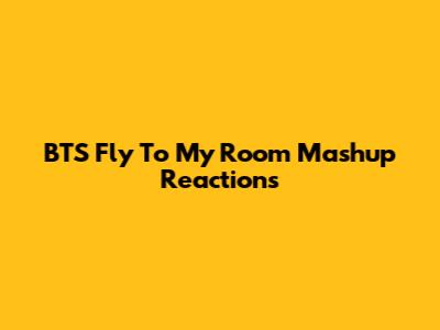 BTS 'Fly To My Room' Mashup Reactions