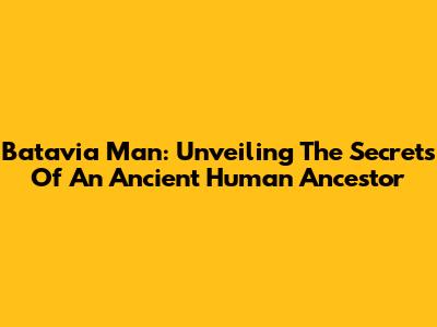 Batavia Man: Unveiling The Secrets Of An Ancient Human Ancestor