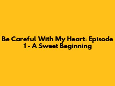 Be Careful With My Heart: Episode 1 - A Sweet Beginning