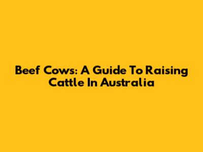 Beef Cows: A Guide To Raising Cattle In Australia