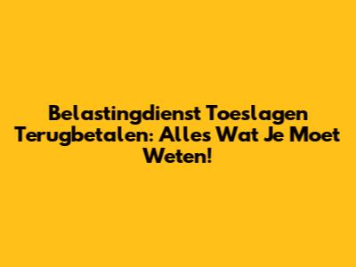 Belastingdienst Toeslagen Terugbetalen: Alles Wat Je Moet Weten!