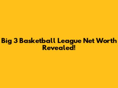 Big 3 Basketball League Net Worth Revealed!