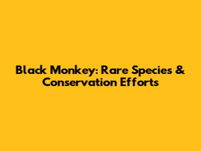 Black Monkey: Rare Species & Conservation Efforts