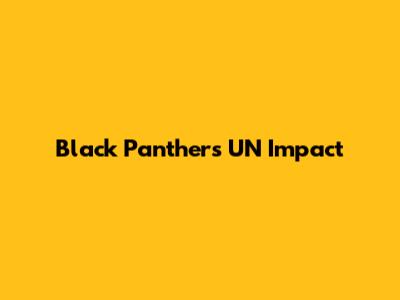 Black Panther's UN Impact