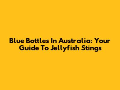 Blue Bottles In Australia: Your Guide To Jellyfish Stings