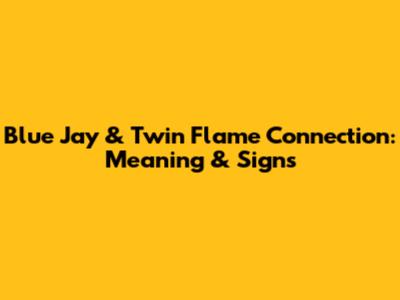Blue Jay & Twin Flame Connection: Meaning & Signs