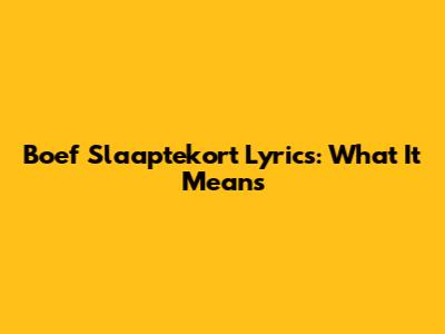 Boef Slaaptekort Lyrics: What It Means