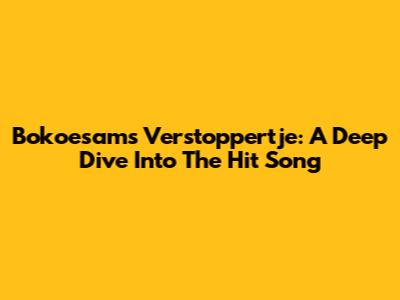 Bokoesam's Verstoppertje: A Deep Dive Into The Hit Song