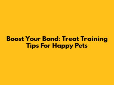 Boost Your Bond: Treat Training Tips For Happy Pets