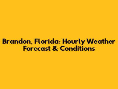 Brandon, Florida: Hourly Weather Forecast & Conditions