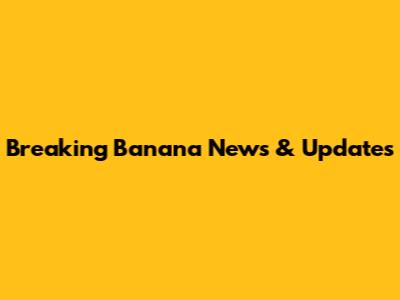 Breaking Banana News & Updates