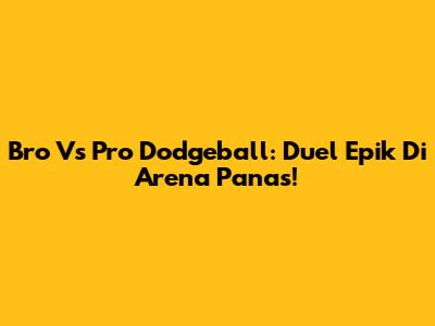 Bro Vs Pro Dodgeball: Duel Epik Di Arena Panas!