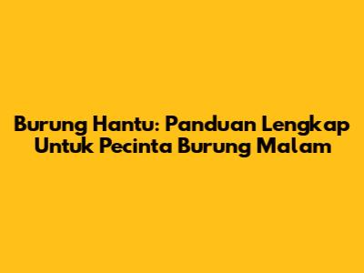 Burung Hantu: Panduan Lengkap Untuk Pecinta Burung Malam