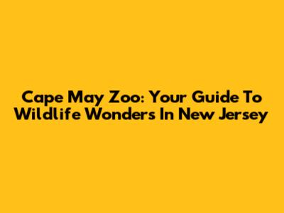 Cape May Zoo: Your Guide To Wildlife Wonders In New Jersey