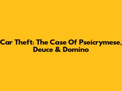 Car Theft: The Case Of Pseicrymese, Deuce & Domino