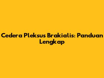 Cedera Pleksus Brakialis: Panduan Lengkap
