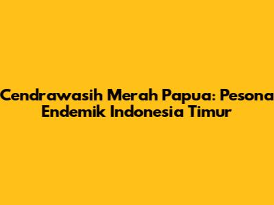 Cendrawasih Merah Papua: Pesona Endemik Indonesia Timur