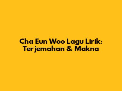 Cha Eun Woo Lagu Lirik: Terjemahan & Makna