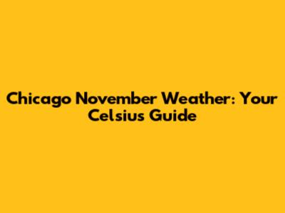 Chicago November Weather: Your Celsius Guide