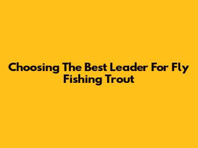 Choosing The Best Leader For Fly Fishing Trout