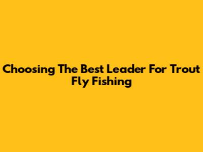 Choosing The Best Leader For Trout Fly Fishing