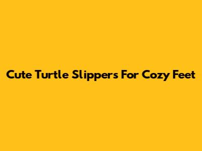 Cute Turtle Slippers For Cozy Feet