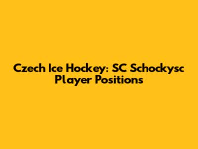 Czech Ice Hockey: SC Schockysc Player Positions