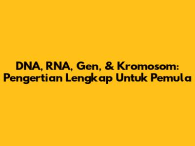 DNA, RNA, Gen, & Kromosom: Pengertian Lengkap Untuk Pemula