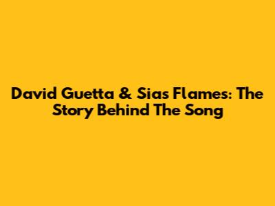 David Guetta & Sia's "Flames": The Story Behind The Song