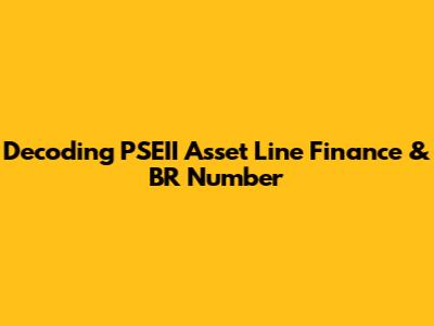 Decoding PSEII Asset Line Finance & BR Number