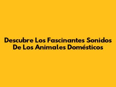 Descubre Los Fascinantes Sonidos De Los Animales Domésticos