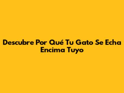Descubre Por Qué Tu Gato Se Echa Encima Tuyo