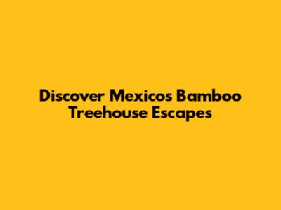 Discover Mexico's Bamboo Treehouse Escapes